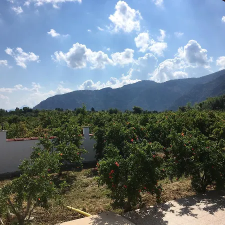 Villa Pomegranate Garden *
